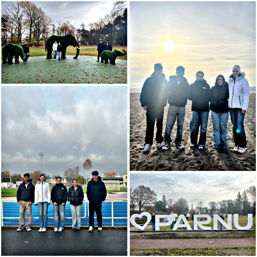 96F426BF-EB8A-4C7B-A97D-7D2F1A00726E